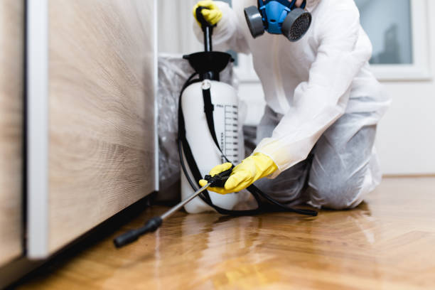 Pest Control for Restaurants in Raymondville, TX