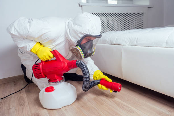 Best Residential Pest Control  in Raymondville, TX
