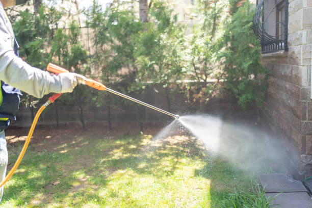 Best Pest Removal Services  in Raymondville, TX