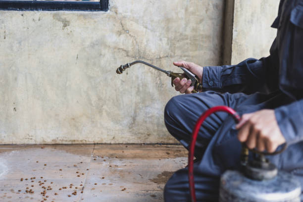 Best Mosquito Control Services  in Raymondville, TX